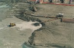 cronache_della_spiaggia_romana